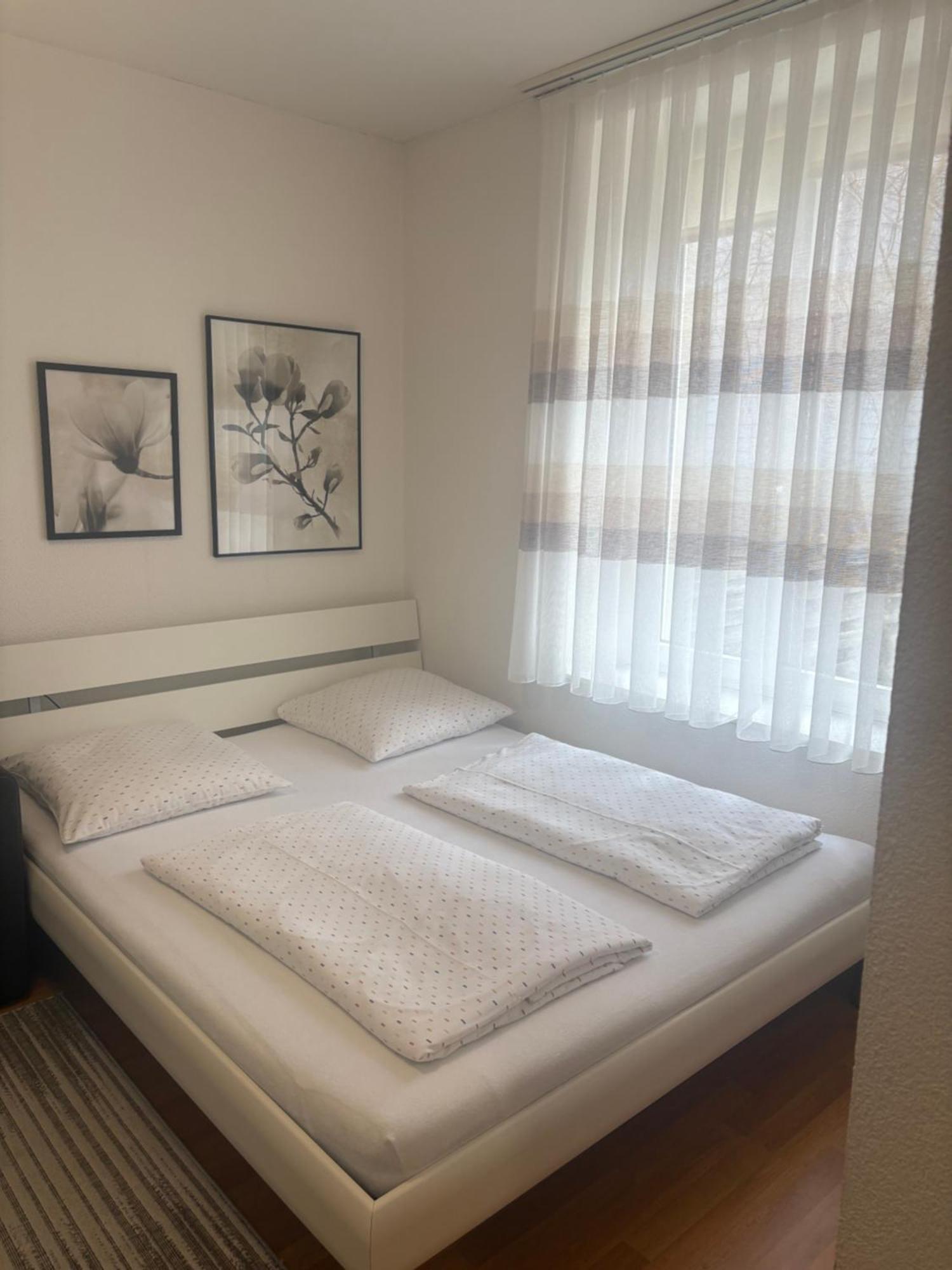 1,5 Zimmer Appartement Winterthur Eksteriør billede